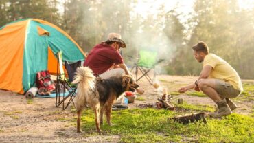 Pet-Friendly RV Camping